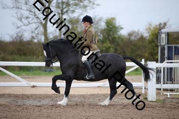 LEE-1065
