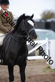 LEE-1089