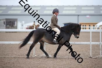 LEE-1203
