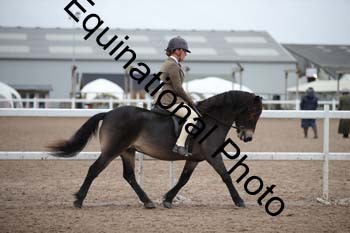 LEE-1205