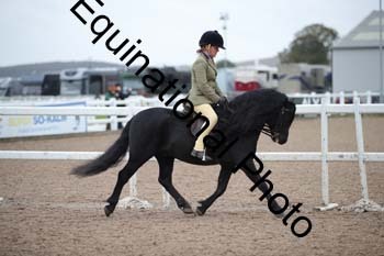 LEE-1206