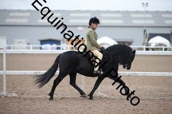 LEE-1209