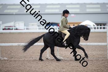 LEE-1240
