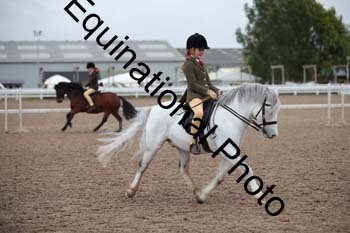 LEE-1252