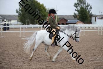 LEE-1253