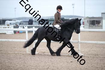 LEE-1357