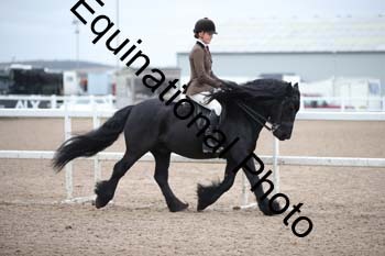 LEE-1358