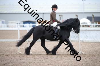 LEE-1359