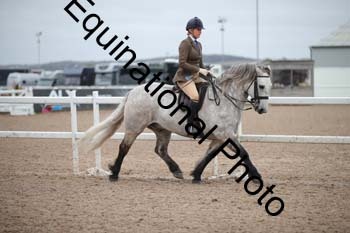 LEE-1366