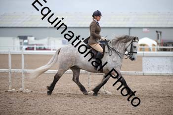 LEE-1367