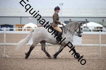 LEE-1368
