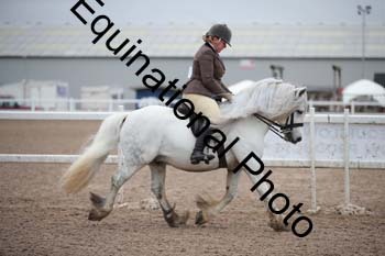 LEE-1377