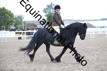 LEE-1499