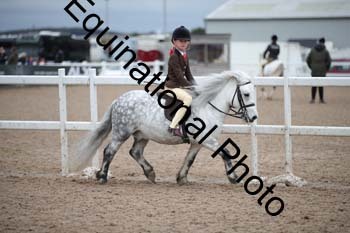 LEE-1556