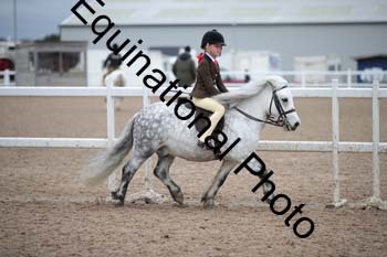 LEE-1557