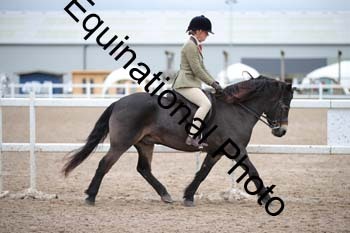 LEE-1568