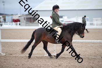 LEE-1569