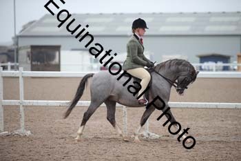 LEE-1677