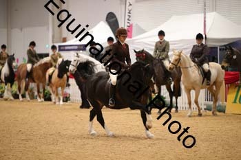ERB-1028