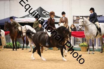 ERB-1029