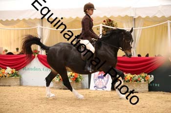 ERB-1031