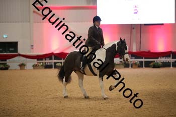ERB-1038