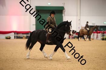 ERB-1055