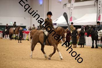 ERB-1072