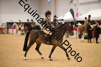ERB-1106