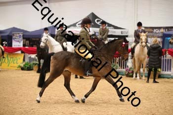 ERB-1107