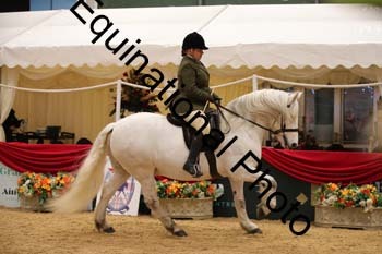 ERB-1166