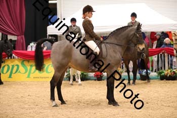 ERB-1200