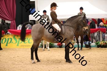 ERB-1201