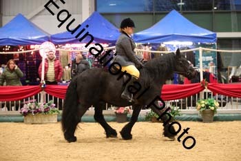 ERB-1285