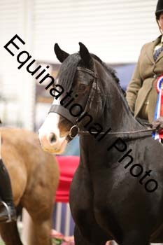 ERB-1311