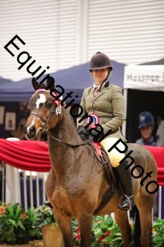 ERB-1337