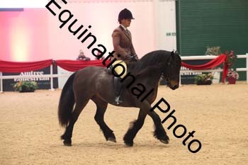 ERB-1464