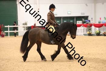 ERB-1466