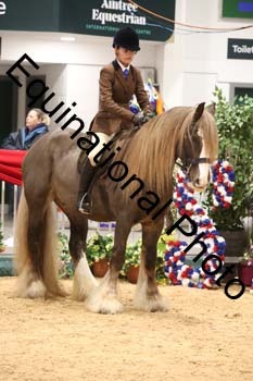 ERB-1495
