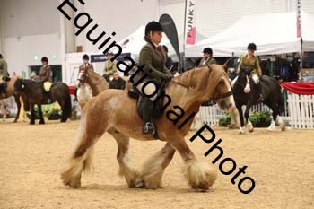 ERB-1501
