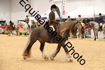 ERB-1517