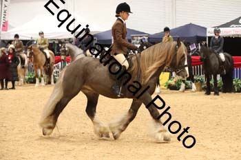 ERB-1518