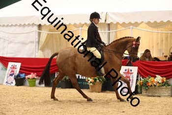 ERB-1549