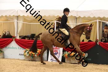 ERB-1550