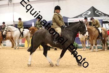 ERB-1570