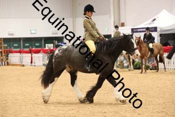 ERB-1580