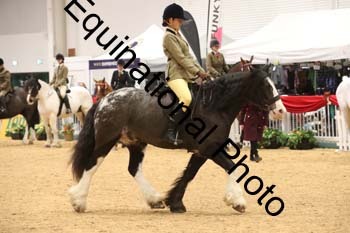 ERB-1581