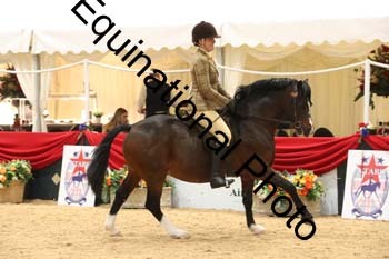 ERB-1593