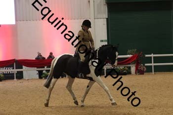 ERB-1597