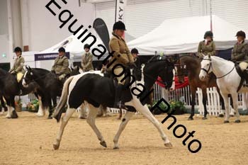 ERB-1601